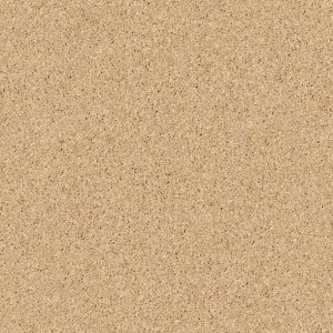 Shaw Floors - Carpet - Full Court 12' - Sun Beam
