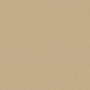 Shaw Floors - Carpet - Classics Collection  - Awaken Spirit II -  12' - Sugar Cookie