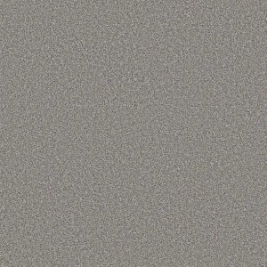 Shaw Floors - Carpet - Simply The Best  - TRUSOLUTIONS III - Storm Cloud