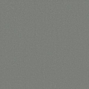 Shaw Floors - Carpet - Classics Collection  - Awaken Spirit I 12' - Secret Escape