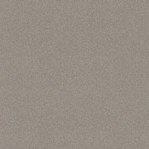 Shaw Floors - Carpet - Simply The Best  - Attainable - Soft Fleece
