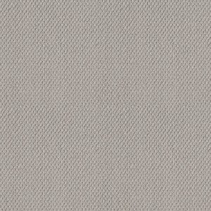 Shaw Floors - Carpet - Foundations Collection - Faint Intent - Silver Lining