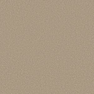 Shaw Floors - Carpet - Simply The Best  - TRUSOLUTIONS III - Sheer Natural