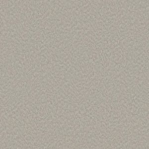 Shaw Floors - Carpet - Foundations Collection  - Alluring Canvas - Split Sediment