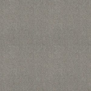 Shaw Floors - Carpet - COMFORTING II - Stepping Stone