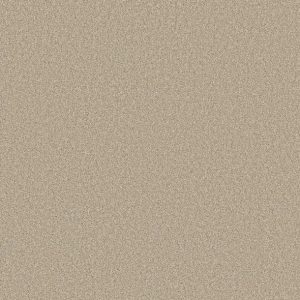 Shaw Floors - Carpet- Foundations Collection - HARMONIOUS II - Sandstone