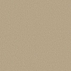 Shaw Floors - Carpet - COMFORTING II - Sesame Seed