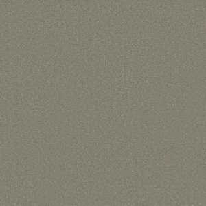 Shaw Floors - Carpet - Classics Collection  - Awaken Spirit II - 12' - Silver Sage