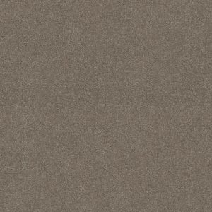 Shaw Floors - Carpet - Simply The Best  - Attainable - Smooth Taupe