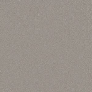Shaw Floors - Carpet - Classics Collection  - Awaken Spirit I 12' - Subtle Touch