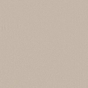 Shaw Floors - Carpet - Classics Collection  - Awaken Spirit II - 15' - Spun Wool