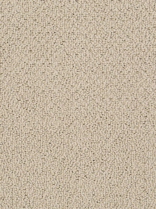Shaw Floors - Carpet- Foundations Collection - Smart Thinking - Safari