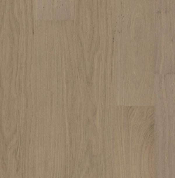 BIYORK - Nouveau 8 Collection - Salted Biscotti