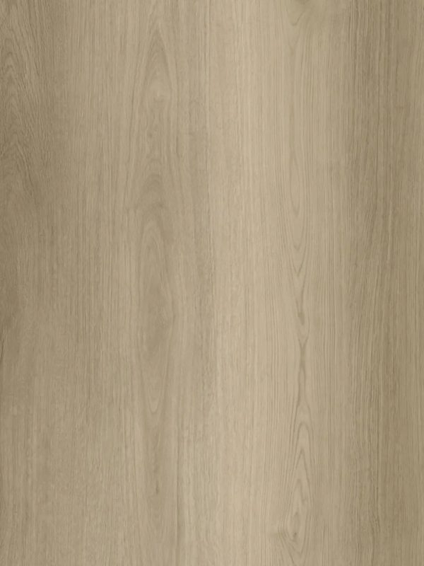 Goodfellow - Arctik Collection - Stavern