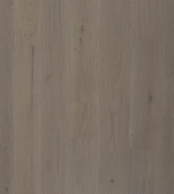 BIYORK - Nouveau 7 Collection - Sunlit Ivory