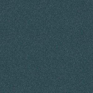 Shaw Floors - Carpet - COMFORTING II - Tailwind
