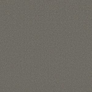 Shaw Floors - Carpet - Classics Collection  - Awaken Spirit II - 12' - Taupetone
