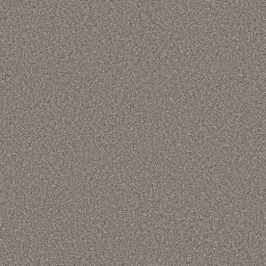 Shaw Floors - Carpet - Simply The Best  - TRUSOLUTIONS III - Tree Bark