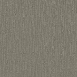 Shaw Floors - Carpet - Simply The Best Collection - Bandon Dunes - Titanium