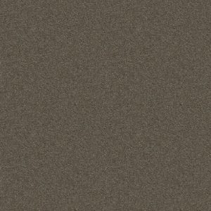 Shaw Floors - Carpet - Simply The Best  - Attainable - Urban Loft