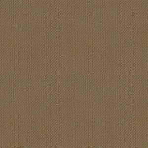 Shaw Floors - Carpet- Foundations Collection - Warmth