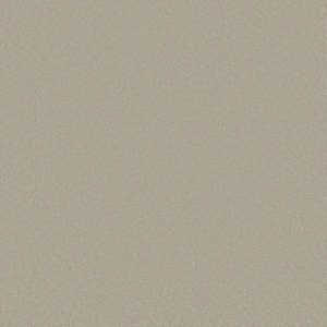 Shaw Floors - Carpet - Classics Collection  - Awaken Spirit II - 15' - Whiskers