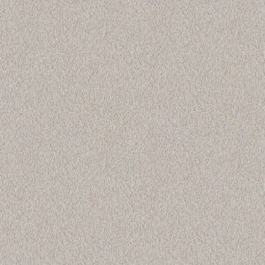 Shaw Floors - Carpet - Foundations Collection  - Alluring Canvas - Winters Dawn