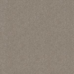 Shaw Floors - Carpet - Simply The Best  - Attainable - Winter Dunes
