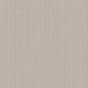 Shaw Floors - Carpet - Foundations Collection - Faint Intent - Winters Dawn