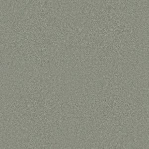 Shaw Floors - Carpet- Foundations Collection - HARMONIOUS II - Water's Edge