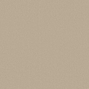 Shaw Floors - Carpet - Classics Collection  - Awaken Spirit I 12' - Windfresh