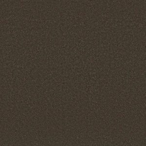 Shaw Floors - Carpet - Classics Collection  - Awaken Spirit I 12' - Wood Grain