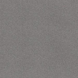 Shaw Floors - Carpet - COMFORTING II - Wet Rock