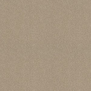 Shaw Floors - Carpet - COMFORTING I - Wild Rice