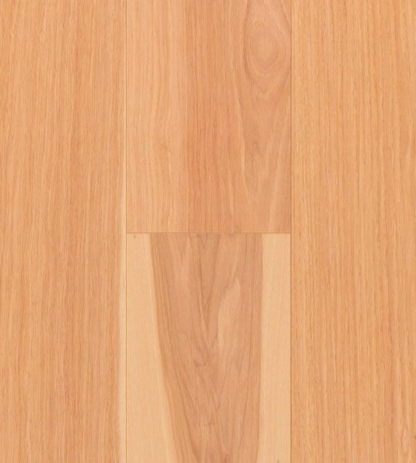 TORLYS - Everest XP Elite - Hickory Natural*