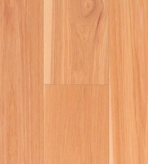 TORLYS - Everest XP Designer Plus - Hickory Natural*