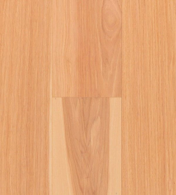 TORLYS - Everest XP Elite - Maple Natural*